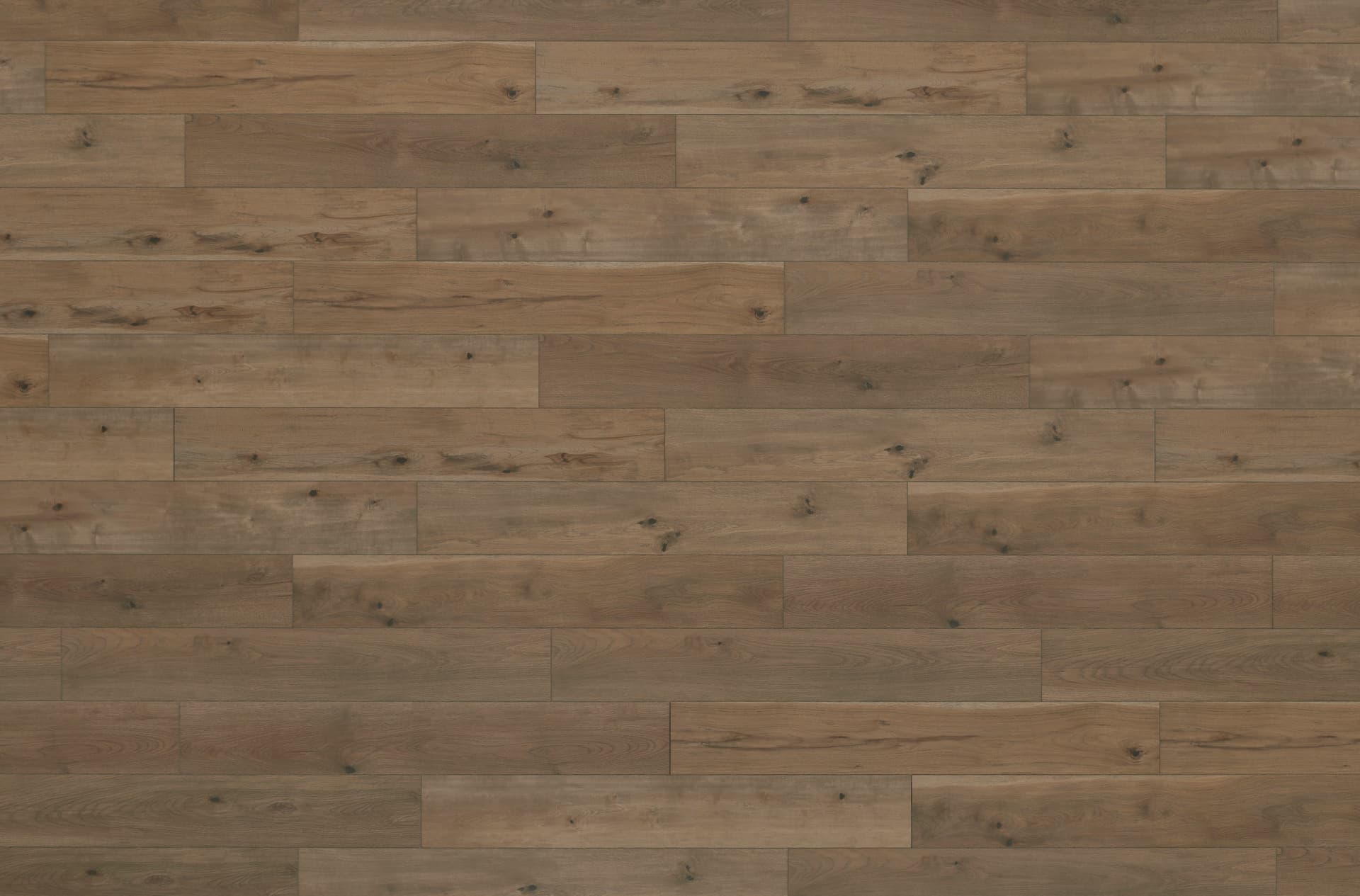 Laminate Restoration Collection® Anthology Tannin 28602 Full 