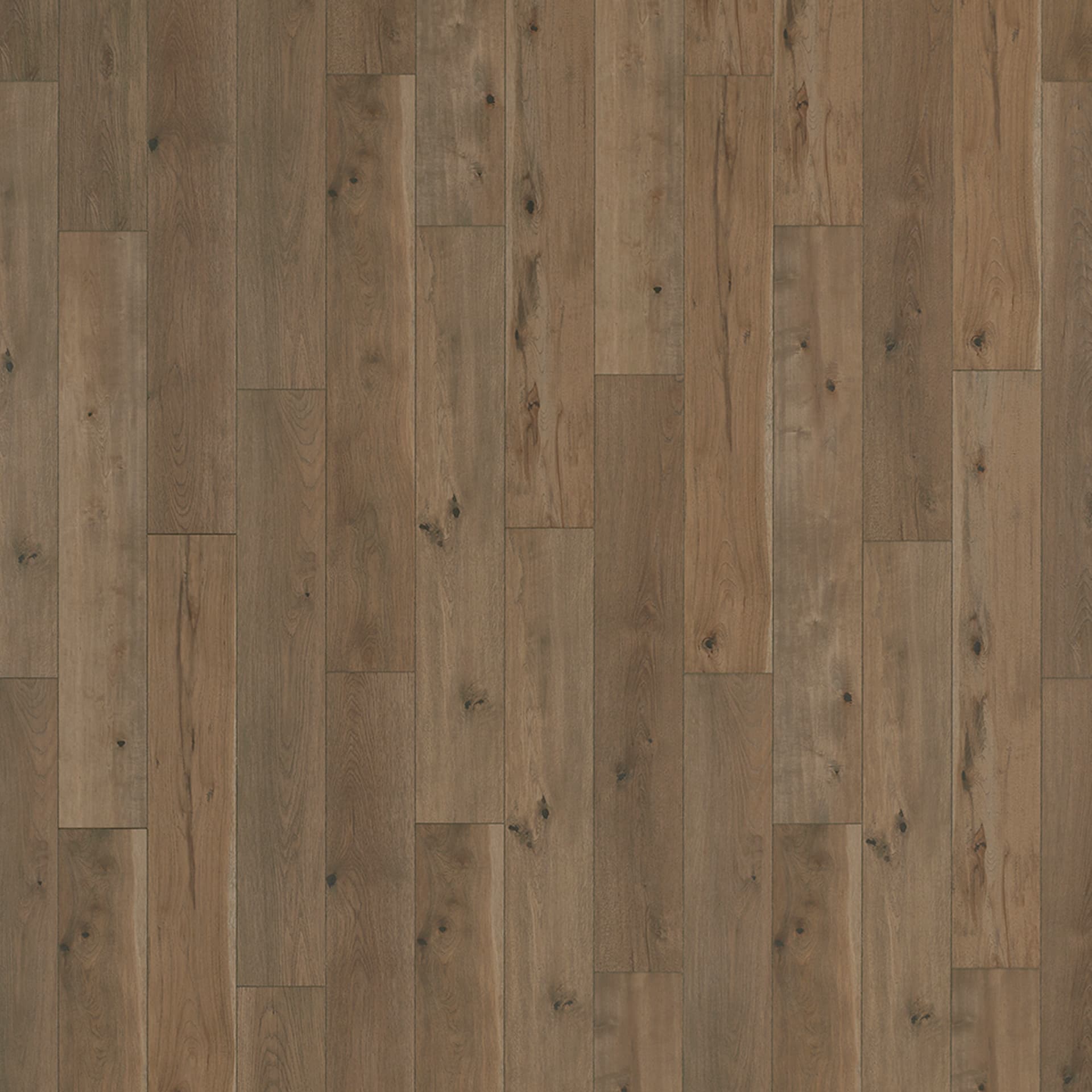 Laminate Restoration Collection® Anthology Tannin 28602 Swatch 