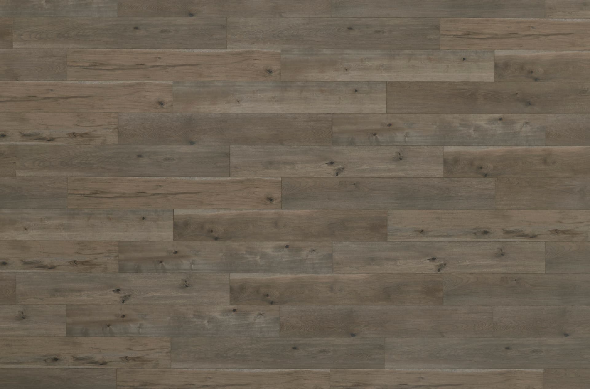 Laminate Restoration Collection® Anthology Quill 28604 | Mannington
