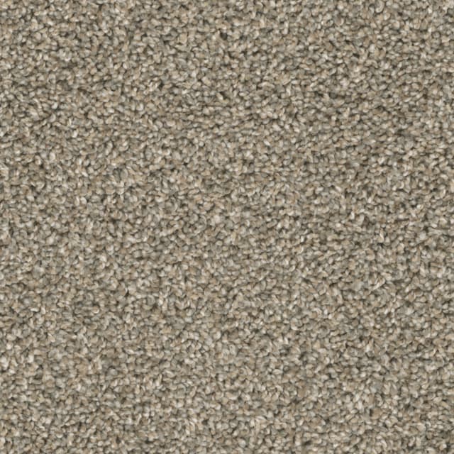 FloorEver™ Insight Preview FE105-954