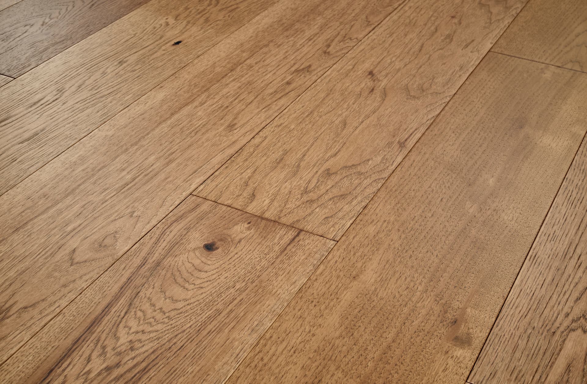 Hardwood Latitude Collection® Forest Park Sunbeam HPLY07SNB1