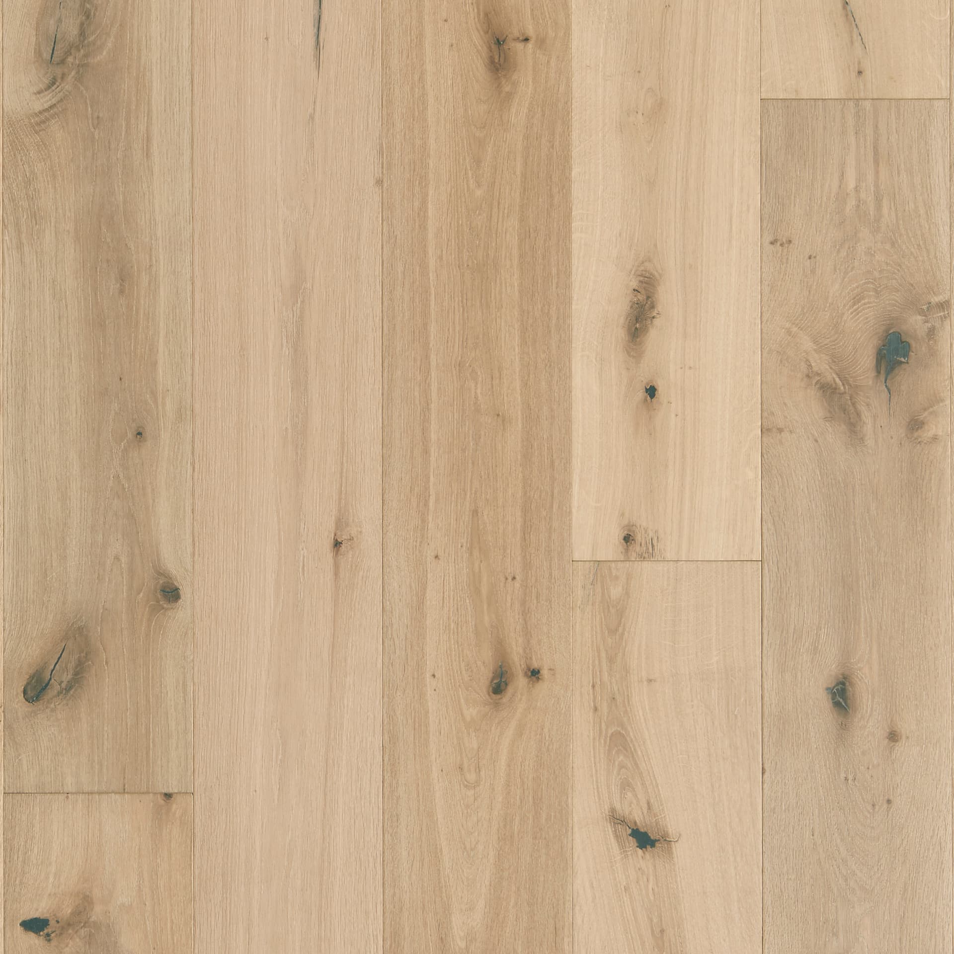 Hardwood Rustics Sanctuary Shell SANC10SHL1 | Mannington