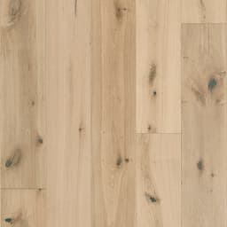 Hardwood Hardwood Sanctuary Shell SANC10SHL1 Swatch
