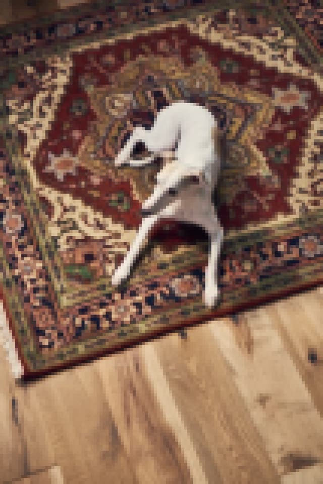 Hardwood Rustics Triumph Platinum TRP07PT1