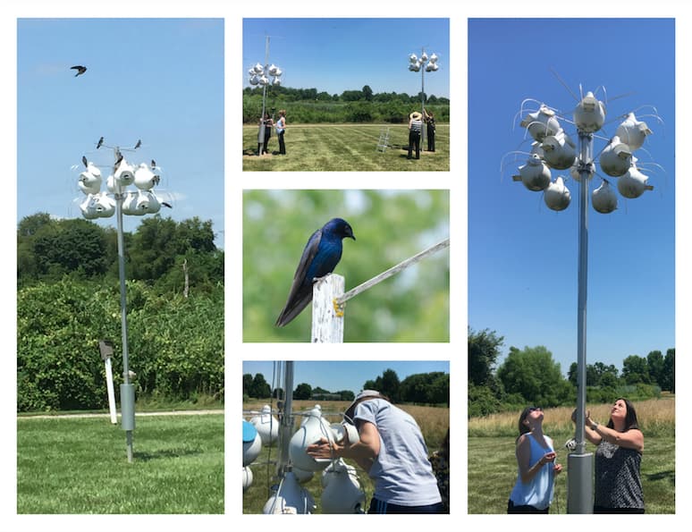 Blog Post Why-Choose-Mannington Image