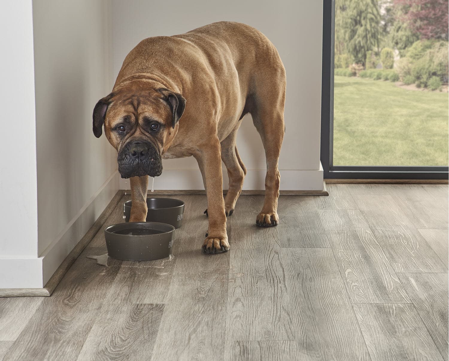 Blog Post 5 Benefits of Vinyl Plank Flooring Image