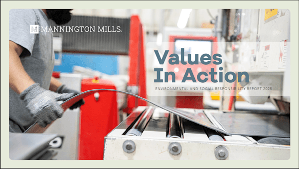 Values in Action Cover Photo 2025