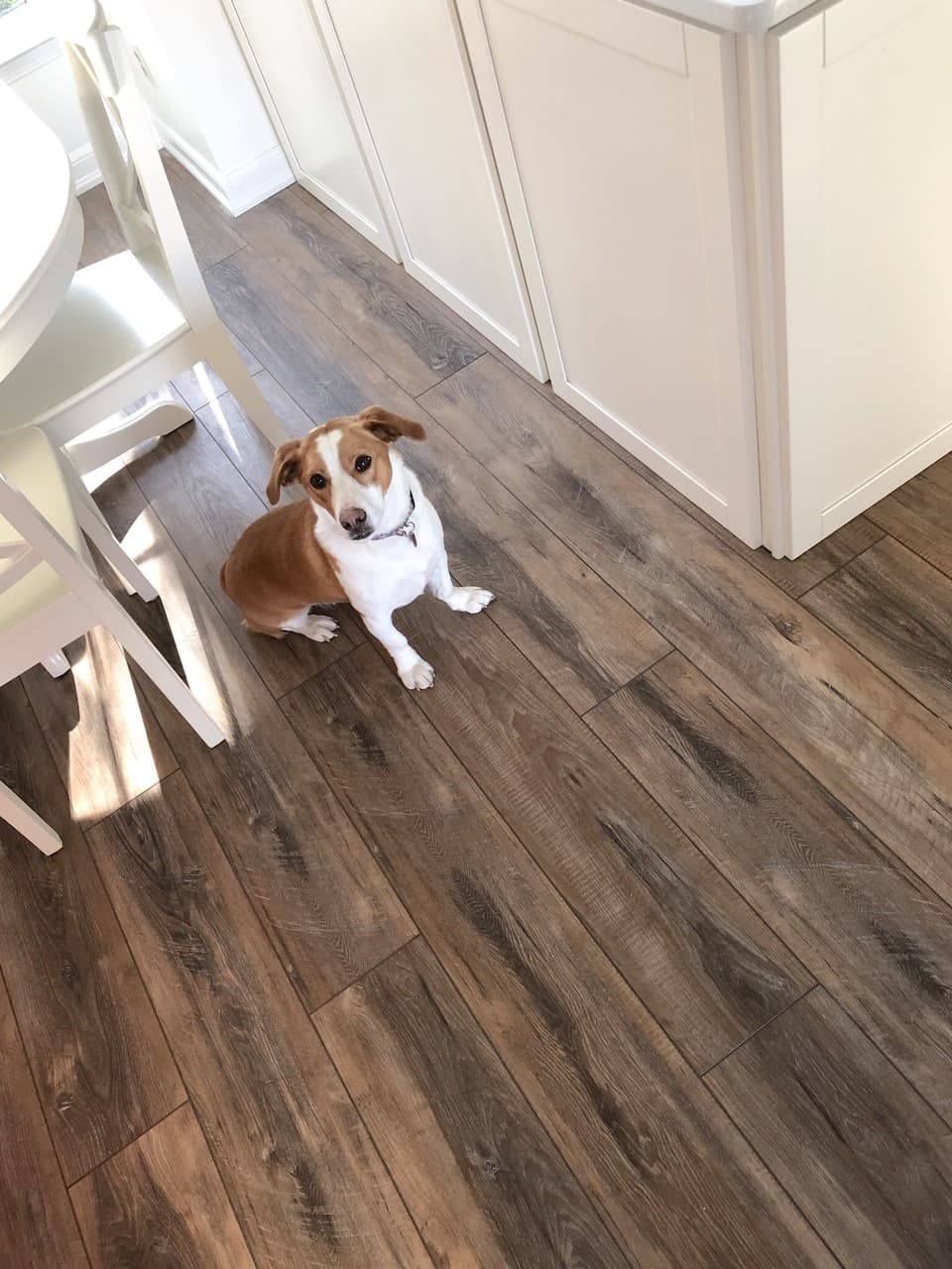 Blog Post 5 Homes with ADURAMaxAPEX Napa Image