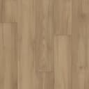 Dry Thistle Dry Thistle