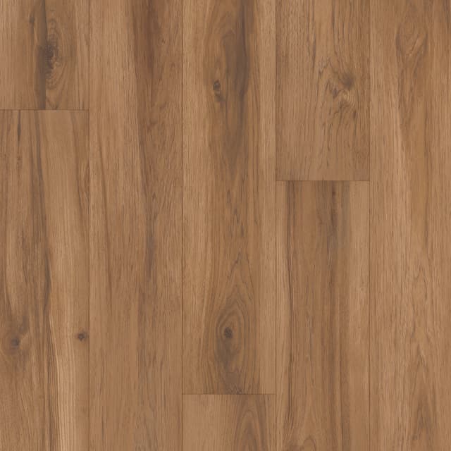 Laminate Restoration Collection® Atlas Summit 32102