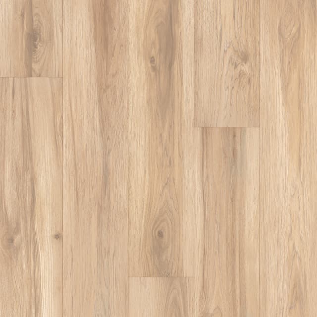 Laminate Restoration Collection® Atlas Horizon 32104