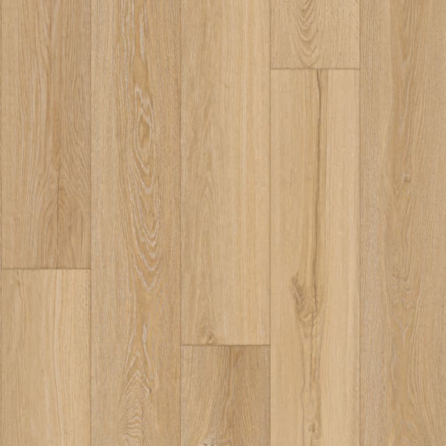 Laminate Restoration Collection® Everest Spirit 31104