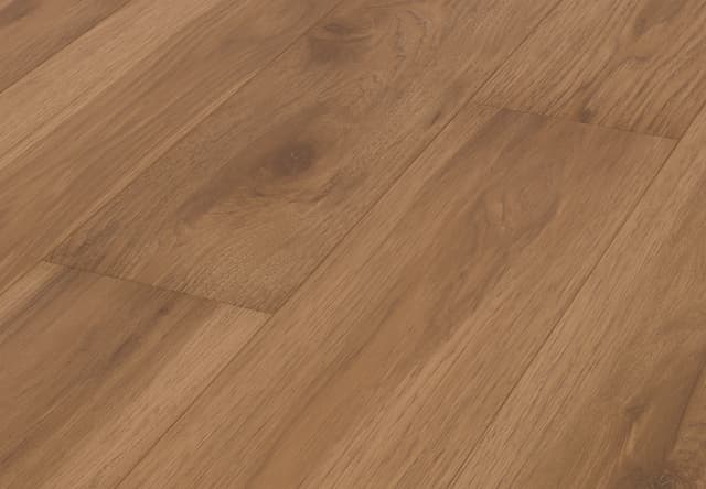 Laminate Restoration Collection® Atlas Summit 32102