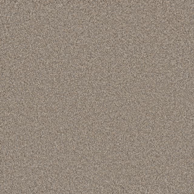 FloorEver™ PetPlus Vista Silver Landscape FP036-3507