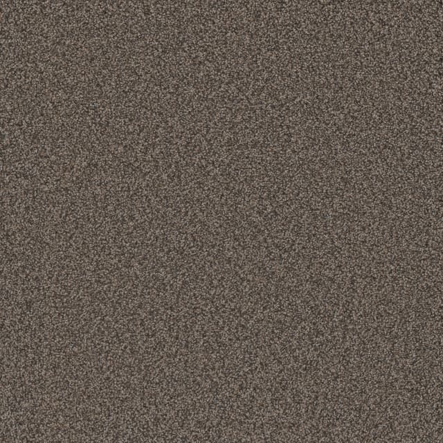 FloorEver™ PetPlus Vista Silver Frontier FP036-3514