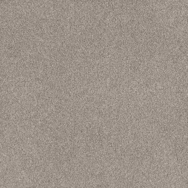 FloorEver™ PetPlus Signature Silver Ash FP043_F04105