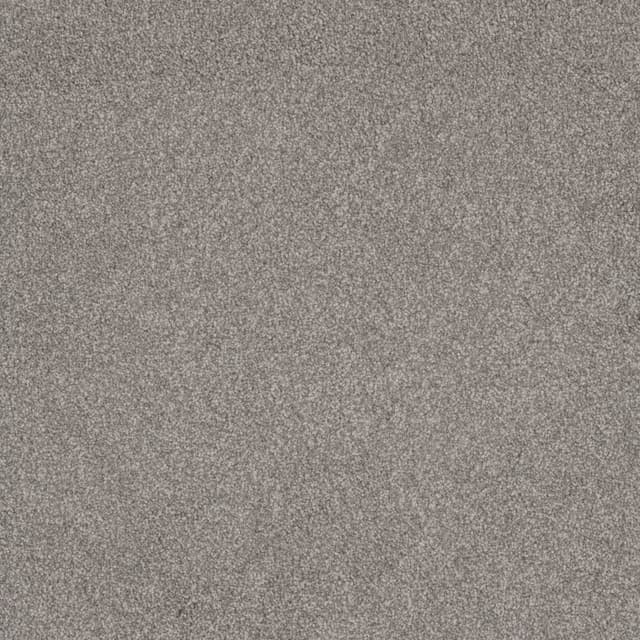 FloorEver™ PetPlus Signature Silver Steel FP043_F04113