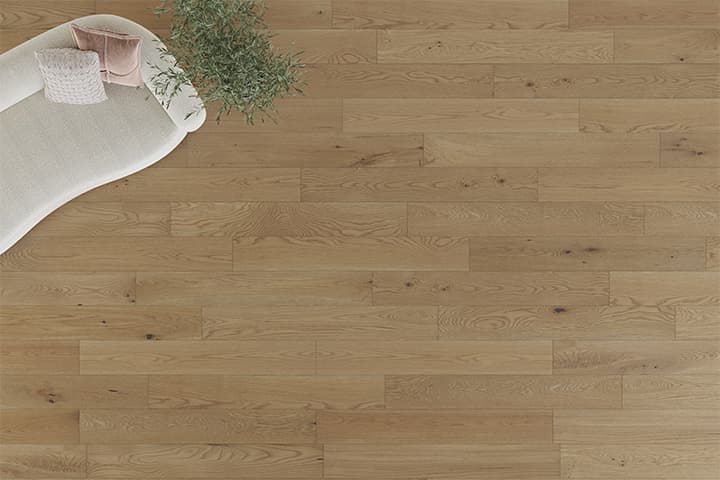 Mannington Insect Mannington